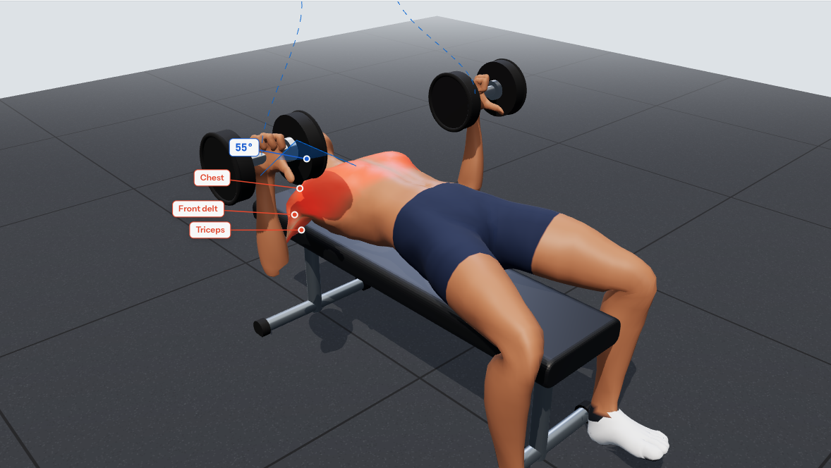 Bottom position of the dumbbell bench press: dumbbells beside the chest, upper arms about 55° from the torso, forearms vertical, feet planted.