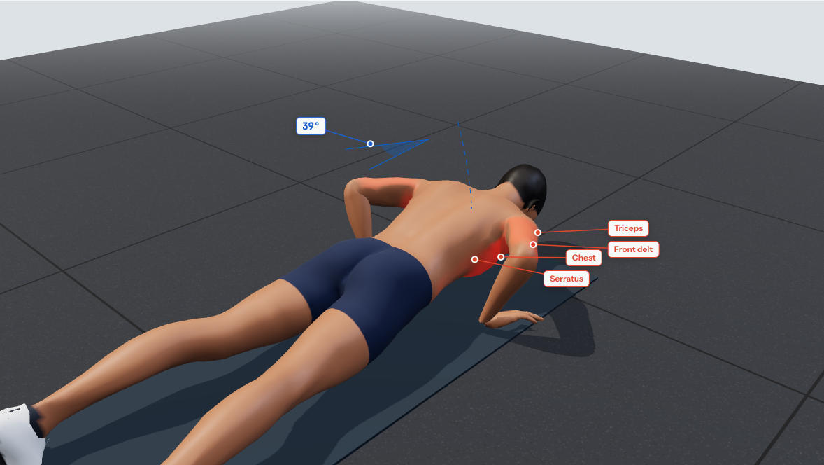 Bottom position of the push-up: body in a straight line from head to heels, chest about a fist from the floor, elbows about 45° from the body.